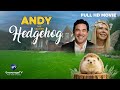 Andy The Talking Hedgehog Dean Cain Magical Family Adventure