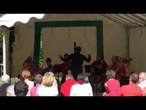 21 juin 2015 - Louveciennes - Orchestre Cordes