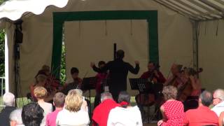 21 juin 2015 - Louveciennes - Orchestre Cordes
