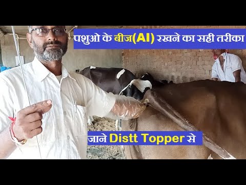 Stainless Steel A. I. Gun 