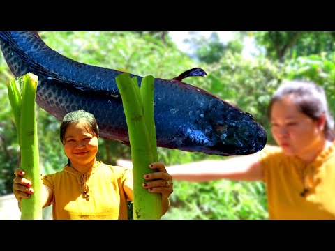 Cooking Taro Porridge with Fish Recipe - Eating Yummy | How to cook taro soup with fish