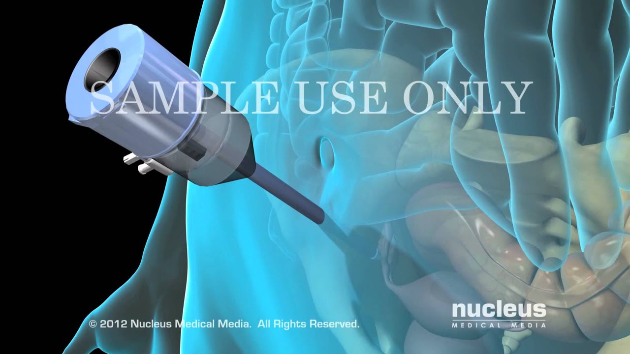 Eduardo Vega Estrada-12