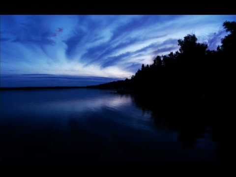 Myk Bee Pres. Solar State Feeding Dreams (Original)