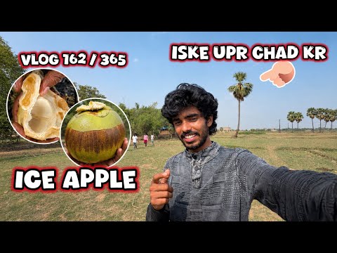 Gaon Mein Ice Apple Adventure 🥶🌴 | Vlog 162/365