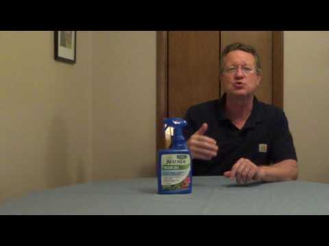 Neem Oil - Organic Pest Control - Fungicide