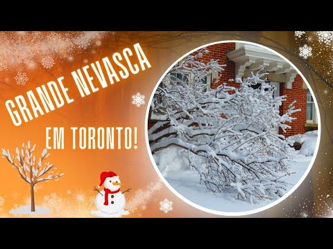 Nevasca em Toronto: imagens incriveis da tempestade de neve! Nevasca em Toronto! Beleza na neve!