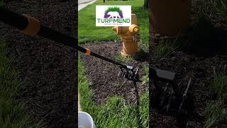Repair Bare Spots In Your Lawn EASILY - With TURFMEND #diylawncare
