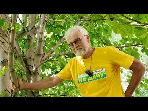 Вперёд, товарищи! На дачу! Выпуск от 07.07.26