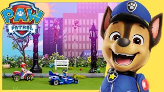 Mighty Pups Stop Magic Meteor Dust | PAW Patrol | Toy Play Episode for Kids