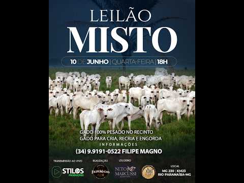 LEILÃO MISTO 10/06/2026 - FILIPE MAGNO LEILÕES - RIO PARANAÍBA-MG