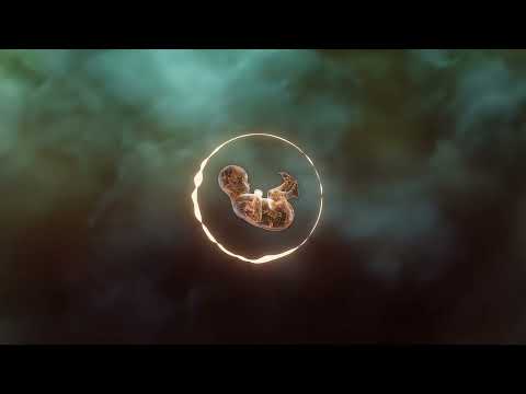 Øneheart, Medasin, leadwave, Dean Korso – before it begins (Visualizer)