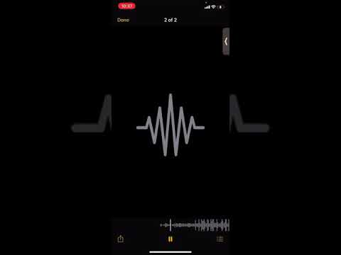 Ant Balla Yeah Yeah〽️🅱️🐝💤