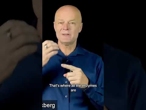 Glutathione The Primary Intracellular Antioxidant