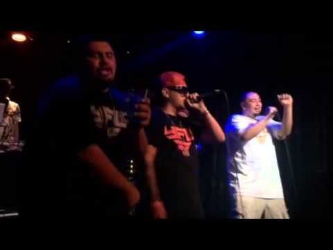 YFL "Young Fly Latino" Live by YQ