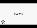Badflower Paws Lyric Video