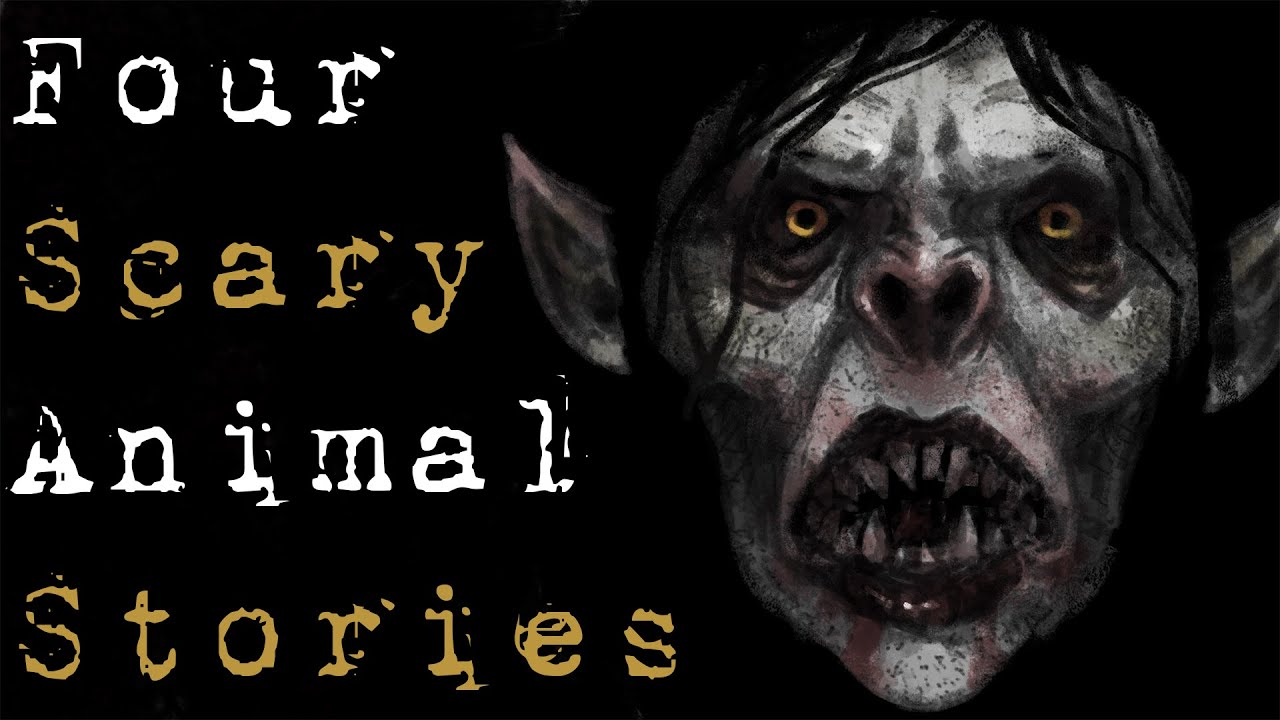 4 SCARY TRUE ANIMAL HORROR STORIES (Collaboration with Lazy Masquerade and Dr Horror)