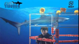 DIA 2 Expo Tiburon222