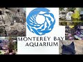 Monterey Bay Aquarium 886 Cannery Row Monterey Ca