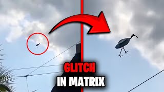 Dark Side Of Reality Glitches That Will Leave you Shocked!