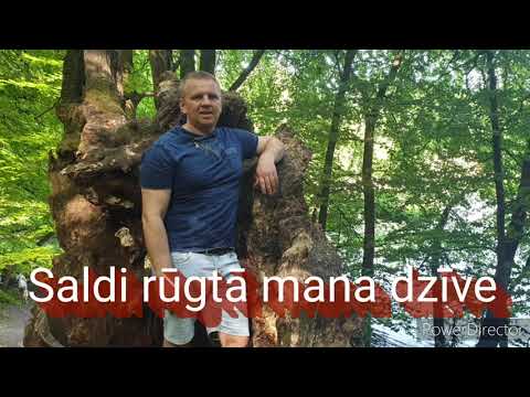 Saldi rūgtā mana dzīve  - Raitis Sola