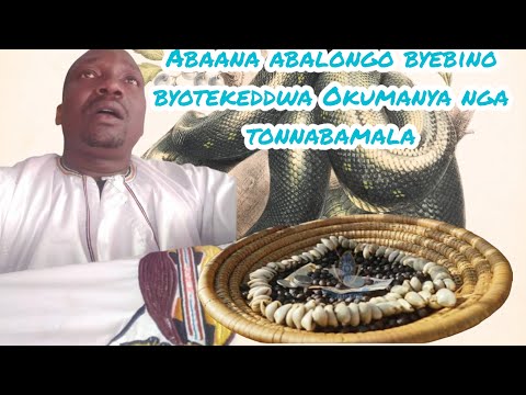 Abaana abalongo byebino byotekeddwa Okumanya nga tonnabamala Omulangira Jjuuko Munabuddu