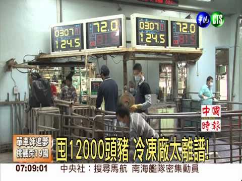 囤12000頭豬 冷凍廠太離譜!