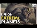 The Teeming Universe Alien Biology Part II