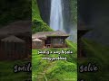 MOTIVATIONAL QUOTES ️ ️ Whatsapp Status ANGEL FISH