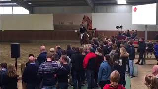 Video of Amadeo van 't Vossenhof Z