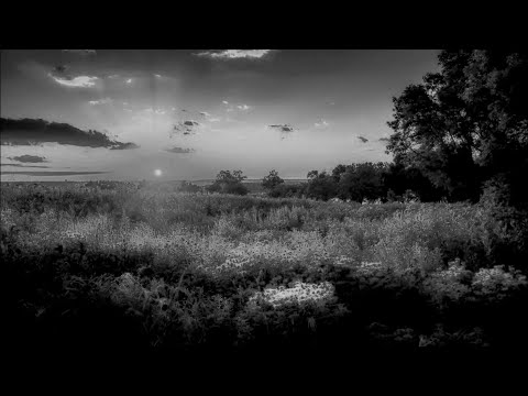 "In te Domine speravi" - Josquin Desprez (c.1450 -1521)