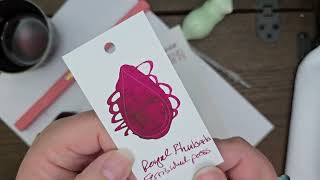 Royal Rhubarb Ink Review Ferris Wheel Press Fountain Pen Ink