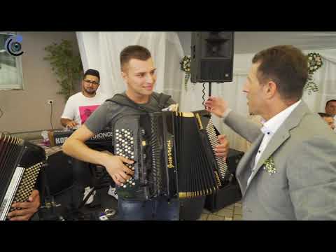 Majstorije za dobro jutro - Nikola Lukic i orkestar AJKULE - Svadba u Paracinu 🔥🦈