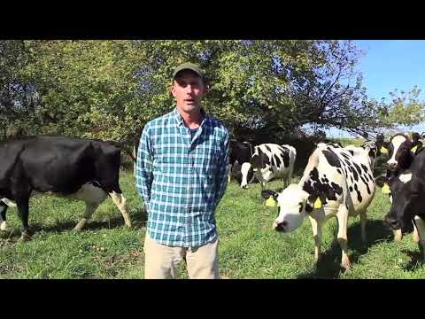 COWCAST Fall on the Farm