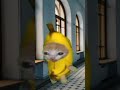 Banana Cat And Whiny Situation (Remastered)