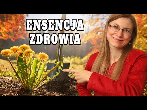 Jej Korzeń Jest Warty Miliony!