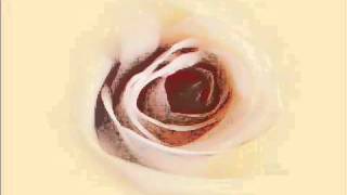 Download lagu ‪Nazrey Johani - Muslimah‬‏.flv mp3