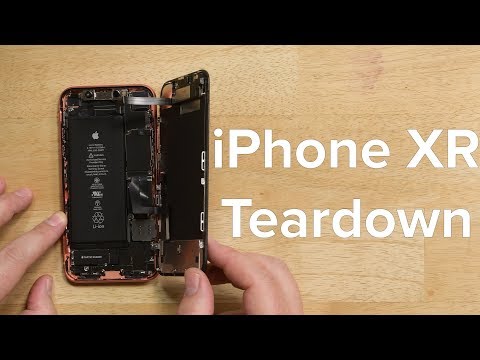 iPhone XR Teardown!