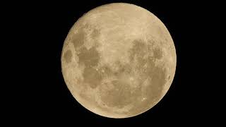 LUZ DE LUNA  LUIS MIGUEL