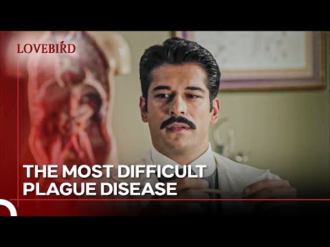Dying Caught In The Disease - Lovebird Episode 5