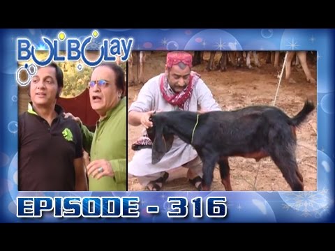 Bulbulay Ep 316 - ARY Digital Drama