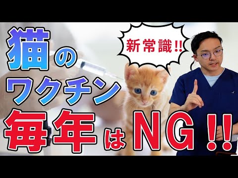 猫にワクチンを接種する方法
