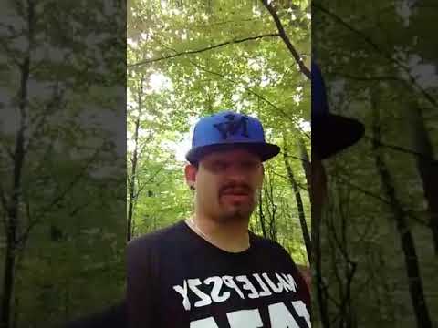 Tiger Bonzo | Wyjaśnienia cz.2