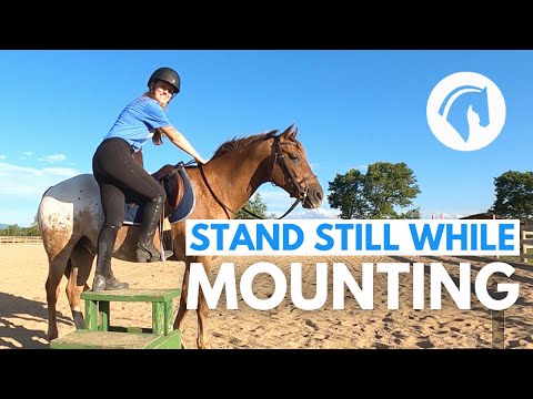 MAKE A HORSE STAND STILL AT THE MOUNTING BLOCK