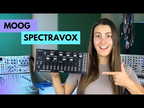 Moog Spectravox Semi-Modular Analog Spectral Processor 2024 - Present - Black with Wood Sides image 4