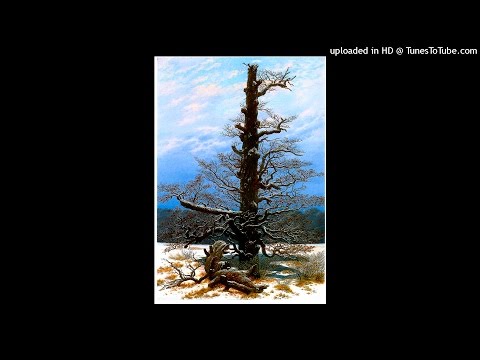 Clara Müller-Jahnke: EISNACHT (Gedicht zum Winter)