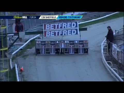 2018 BGBF Puppy Cup Heat 2 - The Babadook