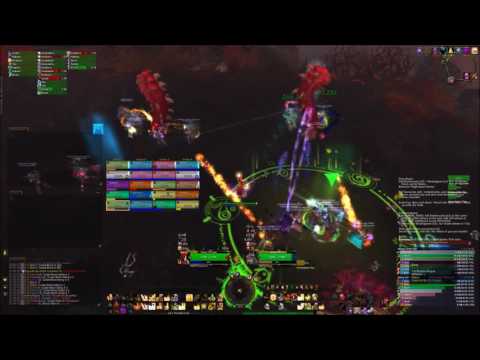 Catch My Towel - Ilgynoth Mythic, Emerald Nightmare (Paladin PoV)