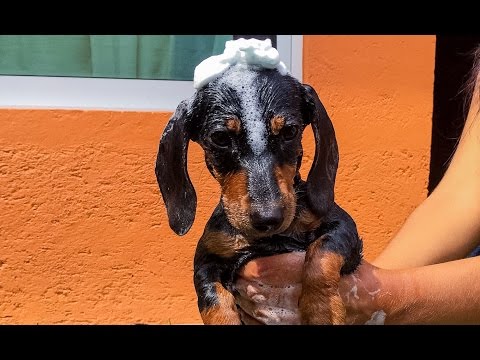 MY BAPTISM...AND MY FIRST BATH | LOS POLINESIOS VLOGS