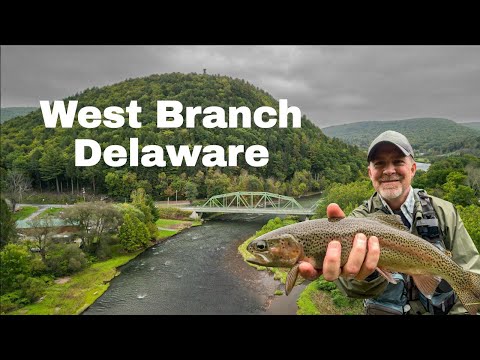 Amazing Dry Fly Action (ISOs and BWOs) | Autumn on the West Branch Delaware River - Hancock, NY