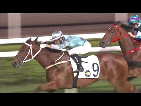 13/11/2021 (177) Master Hero - J Moreira